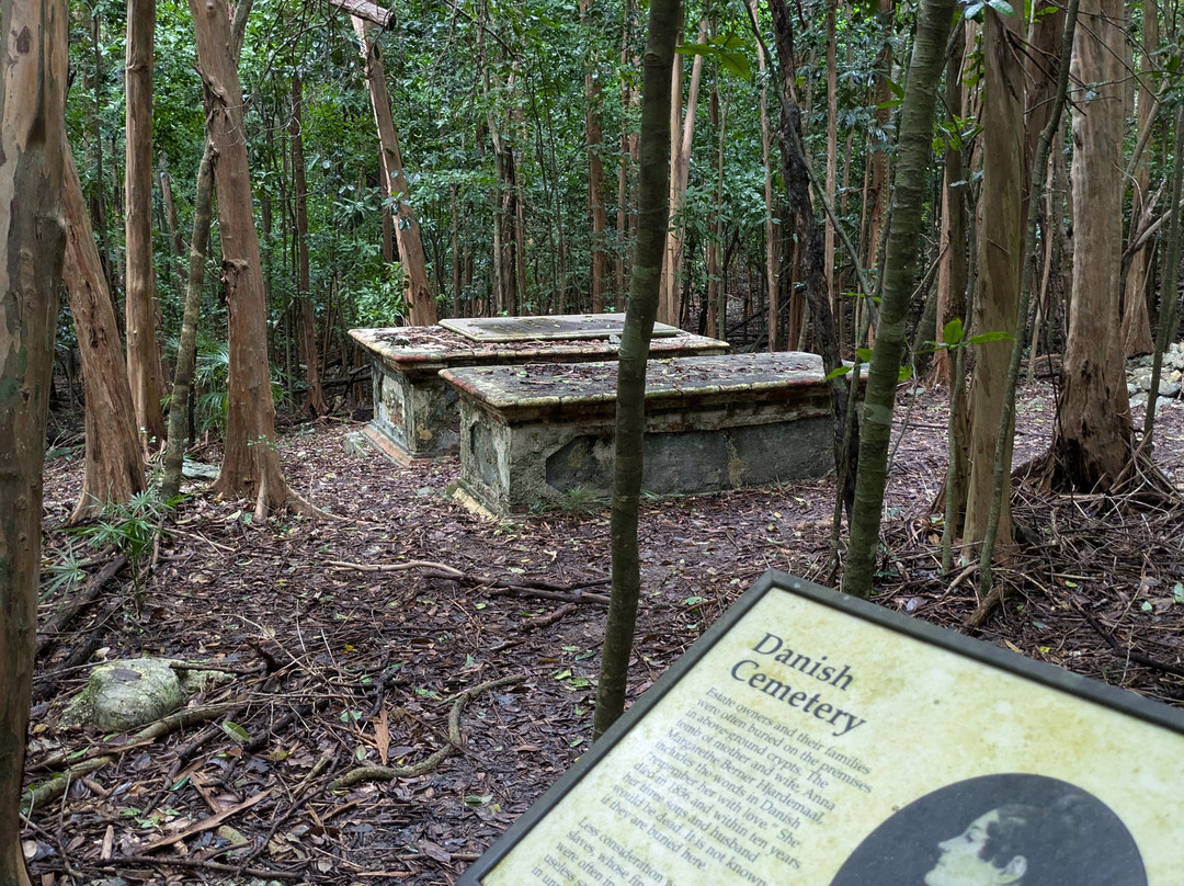 Cinnamon Bay Nature Trail景点图片