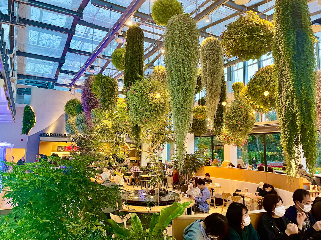 Hana Biyori-稻城市必去景点