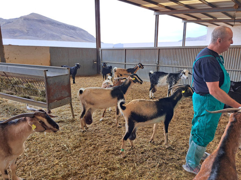 La Casa del Queso Cabrera Perez
