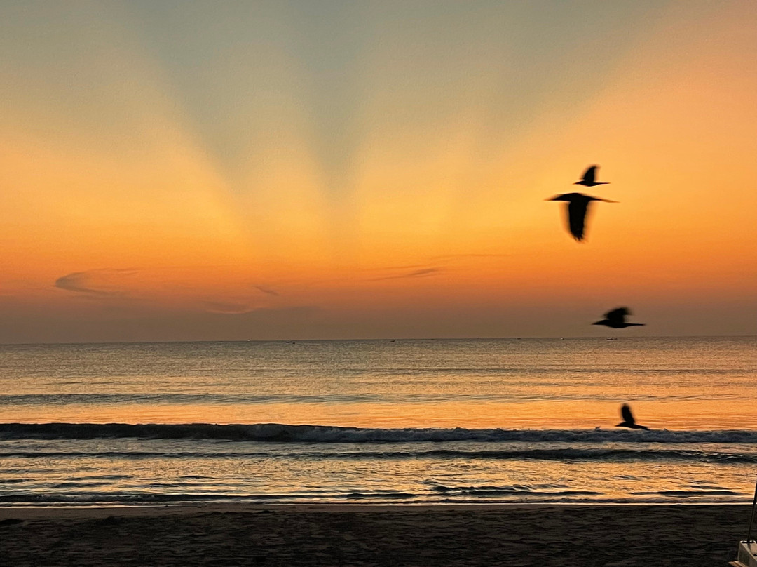 Titan X Travel & Tours-Elpitiya必去景点