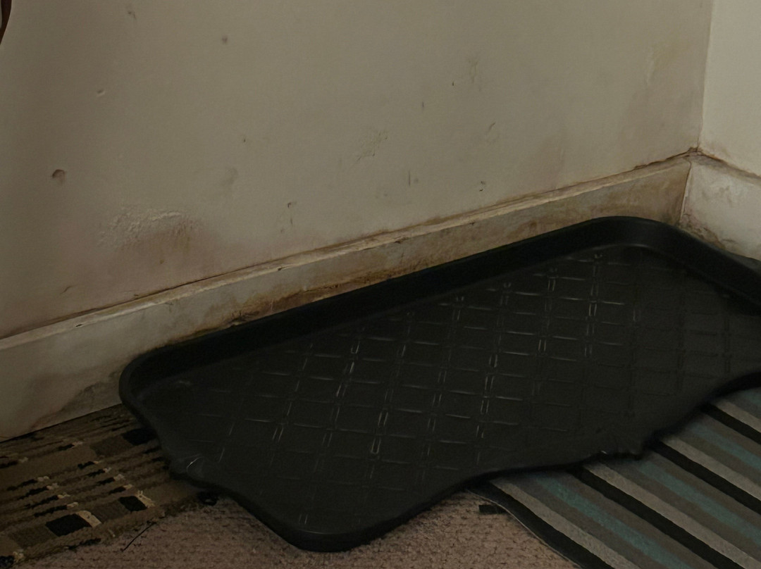 Ramada by Wyndham Medicine Hat主图