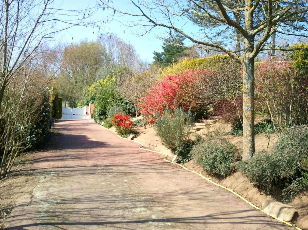 马斯杜特意松住宿加早餐旅馆
