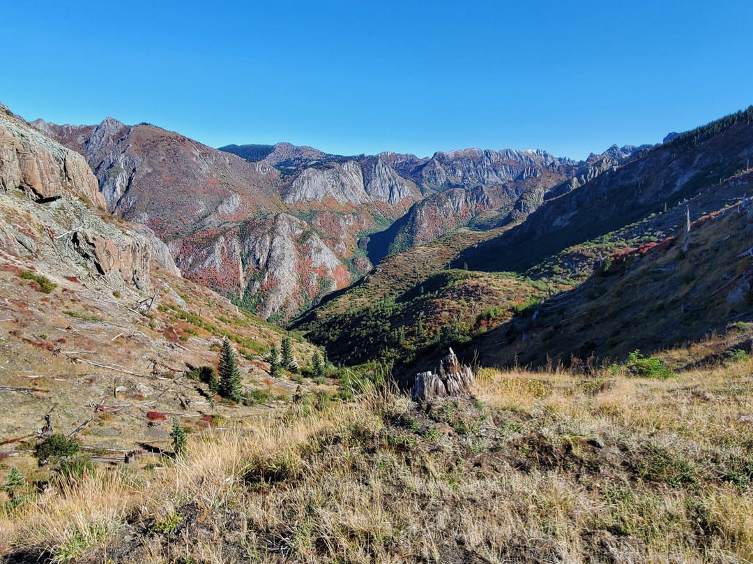 Mount St. Helens National Volcanic Monument景点图片