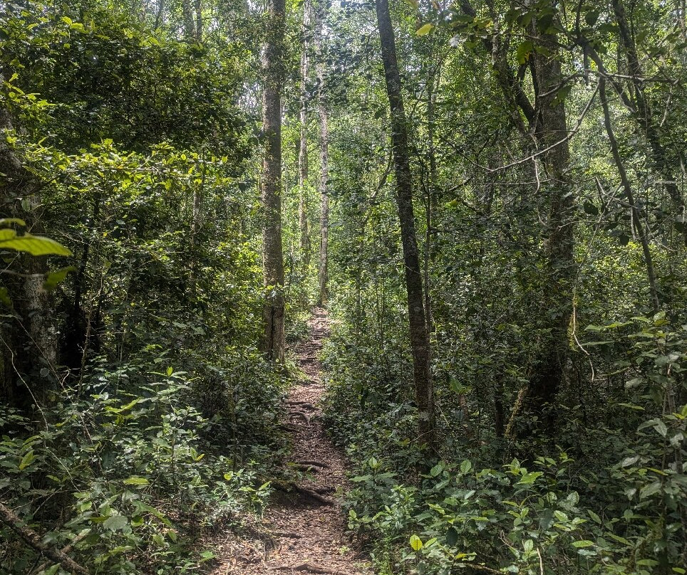 Circles in the Forest Trail-克尼斯纳必去景点