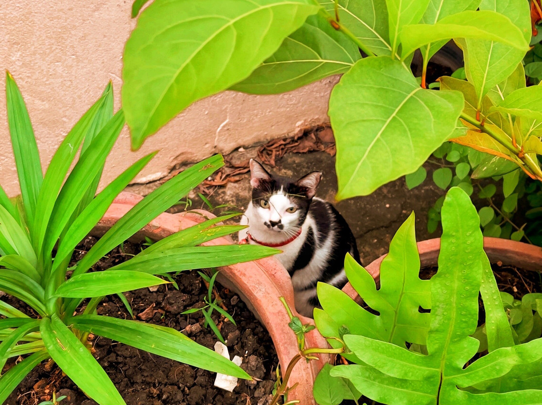 高新区府廊曼机场公寓主图