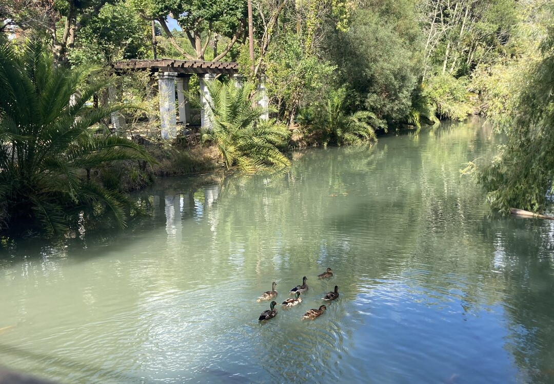 Curia Park-Curia必去景点