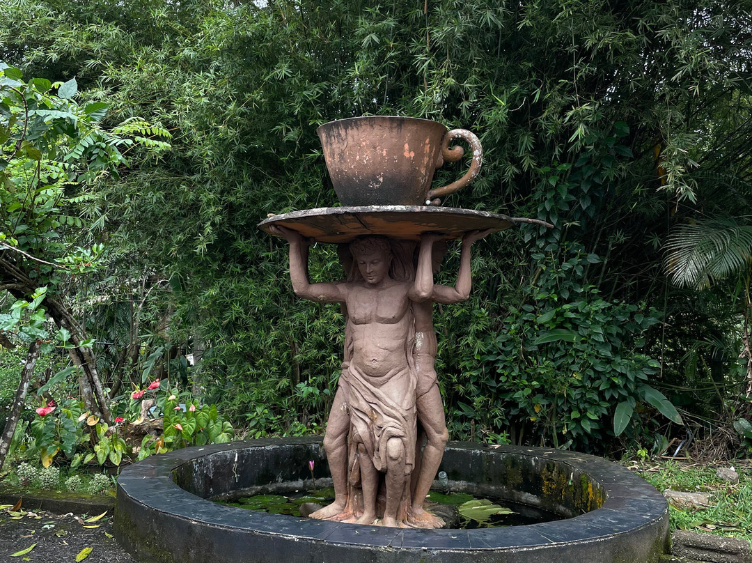 Muswenna Tea Factory-加勒必去景点