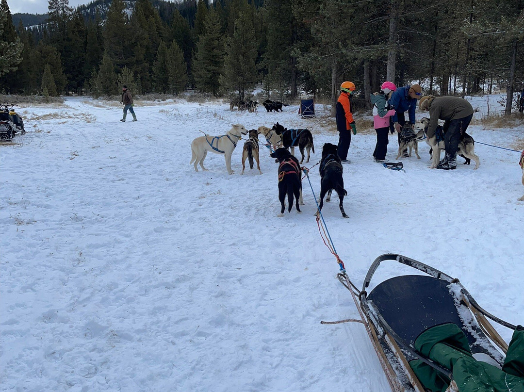 Yellowstone Dog Sled Adventures-西黄石镇必去景点