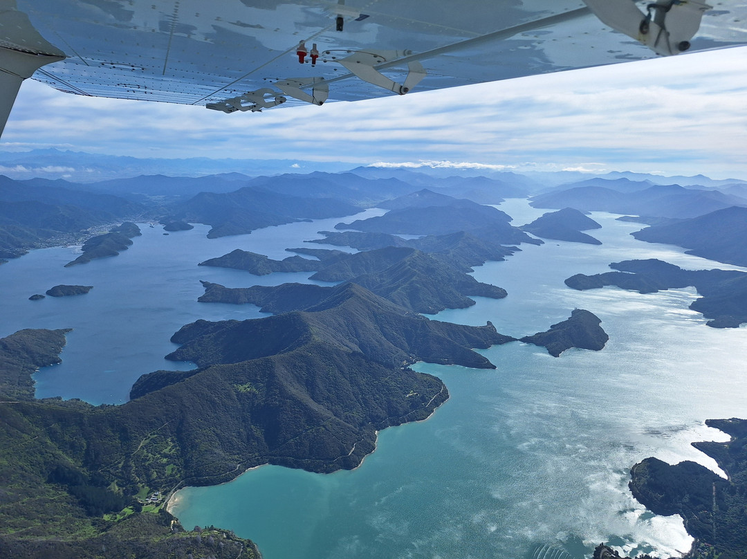 Golden Bay Air-塔卡卡必去景点