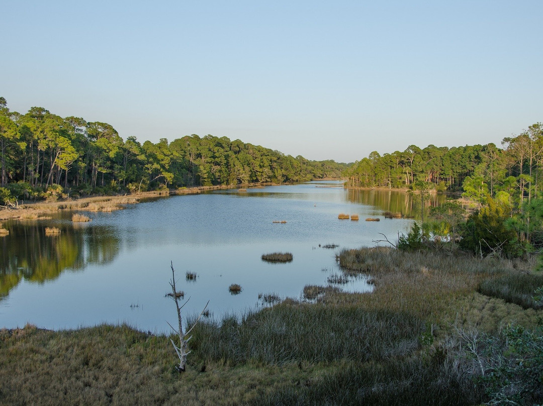 TravelStorysGPS | Kiawah Island Conservancy Audio Tours
