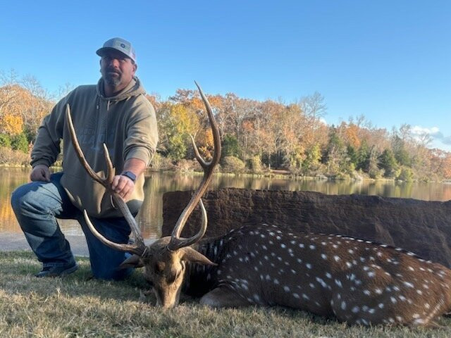 Cedar Cove Ranch主图