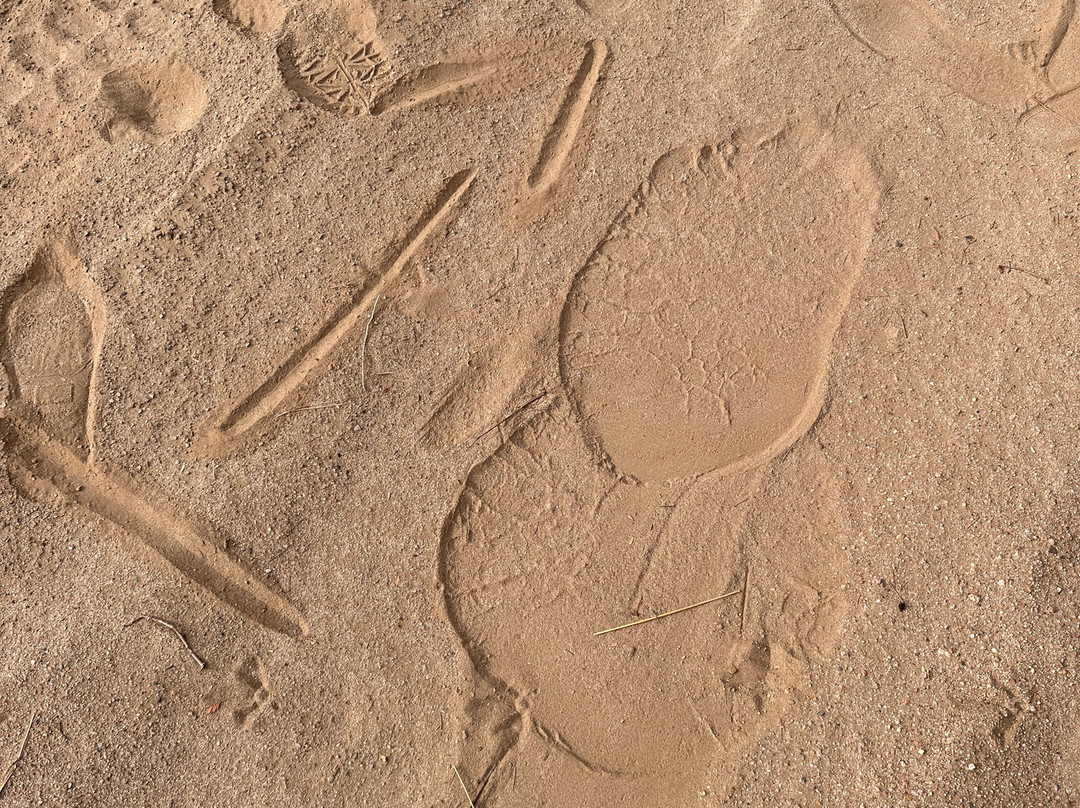 EHRA - Elephant Human Relations Aid-斯瓦科普蒙德必去景点