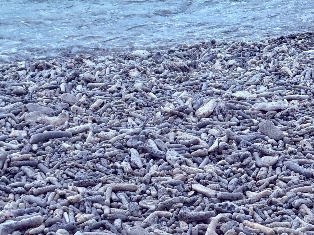 1000 Steps-博奈尔岛必去景点