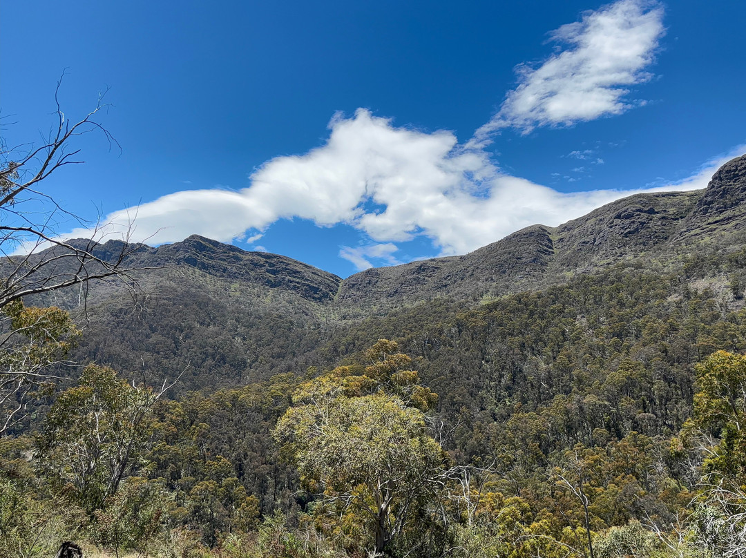 Australis 4WD Adventures-曼斯菲尔德必去景点