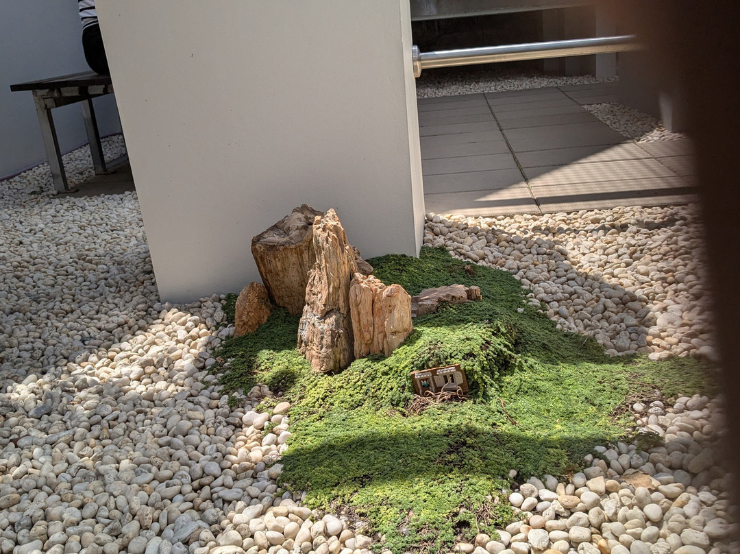 National Bonsai & Penjing Collection-Molonglo Valley必去景点