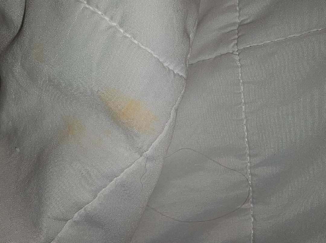 罗厄诺克拉皮兹希尔顿花园旅馆主图