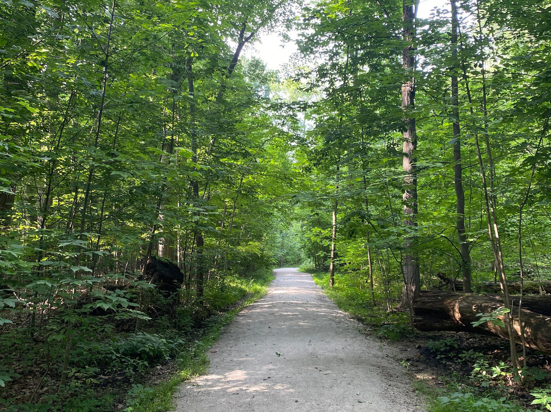 Chapin Forest Reservation景点图片