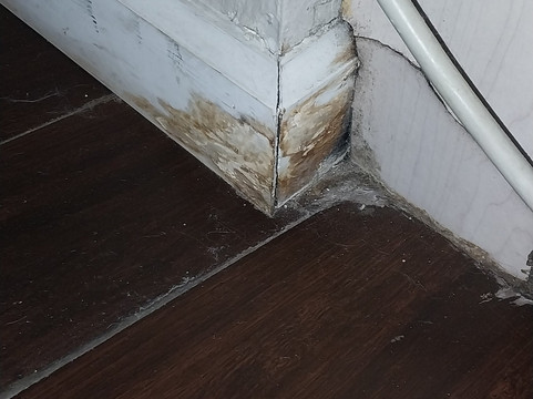 Microtel Inn & Suites by Wyndham Palm Coast主图