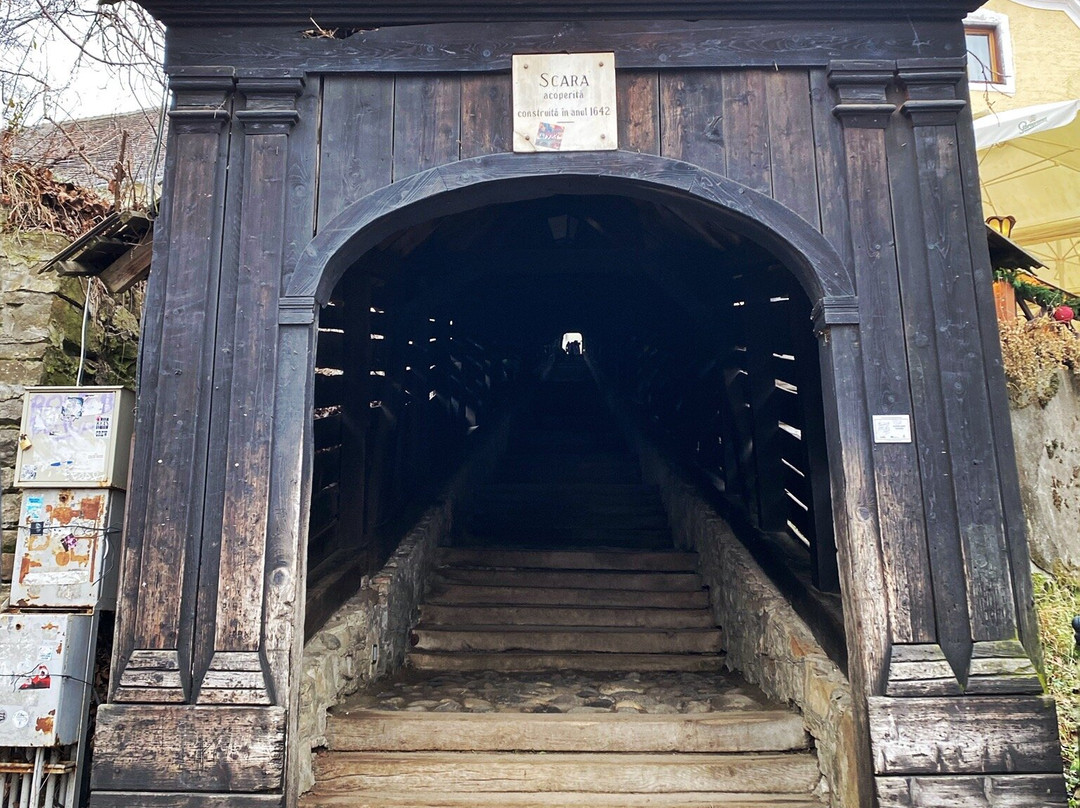 Scara Acoperita-Covered Stairway景点图片