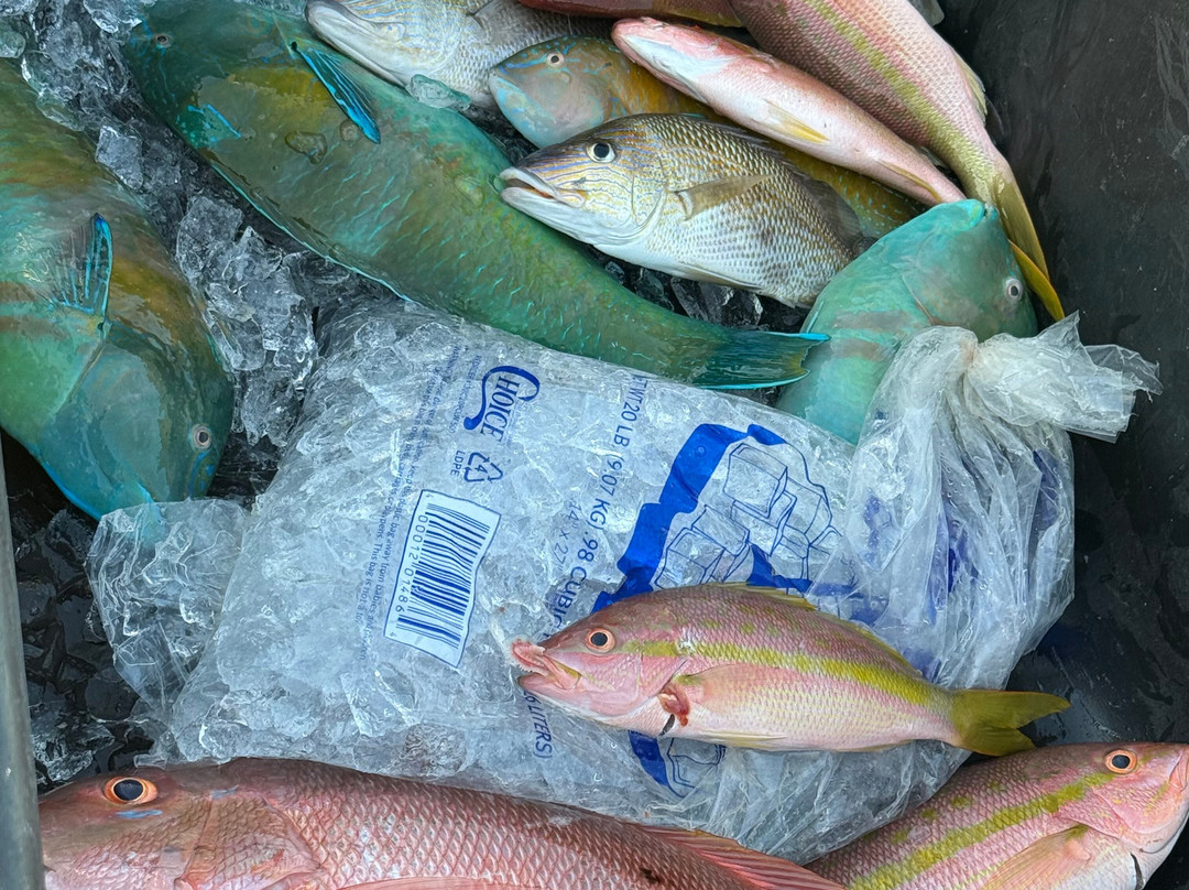 Mystic Rose Fishing Charters-朱庇特必去景点