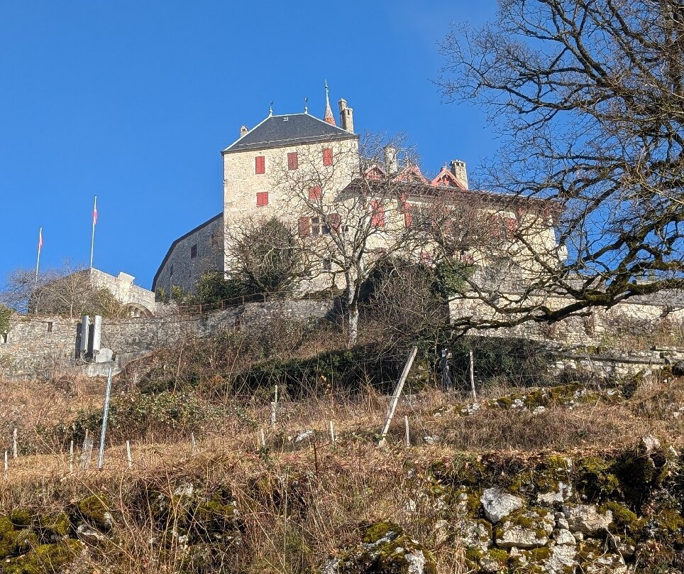 Château De Menthon-saint-bernard景点图片
