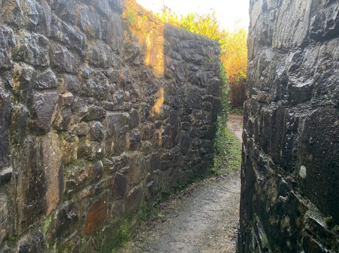 Aistear InisCealtra-Mountshannon必去景点