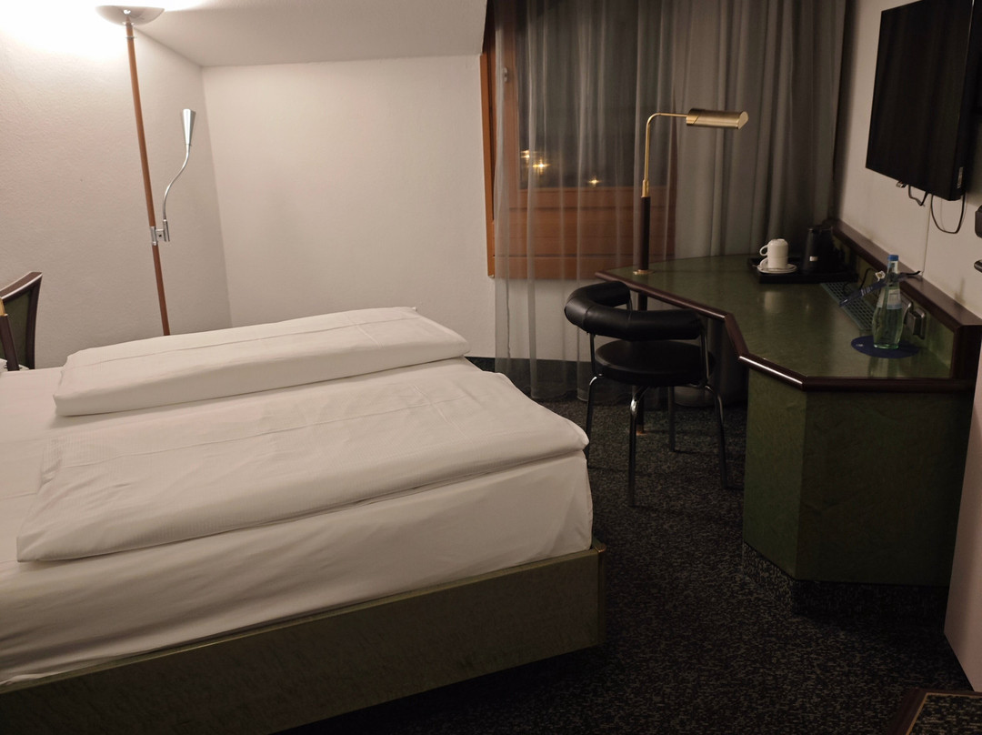 NH宾根酒店主图