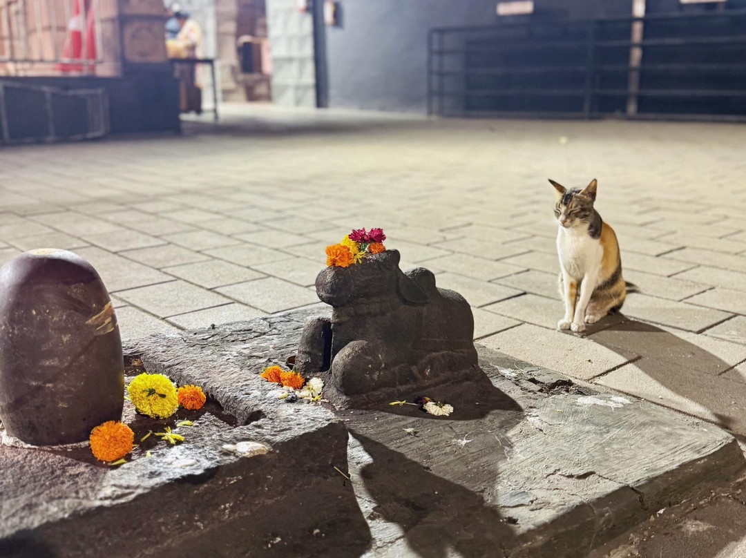 Gurudev Chaya Guest House主图