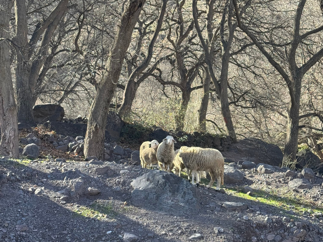 EXCURSION PERSONNALISÉE HAMID OULJID-Asni必去景点