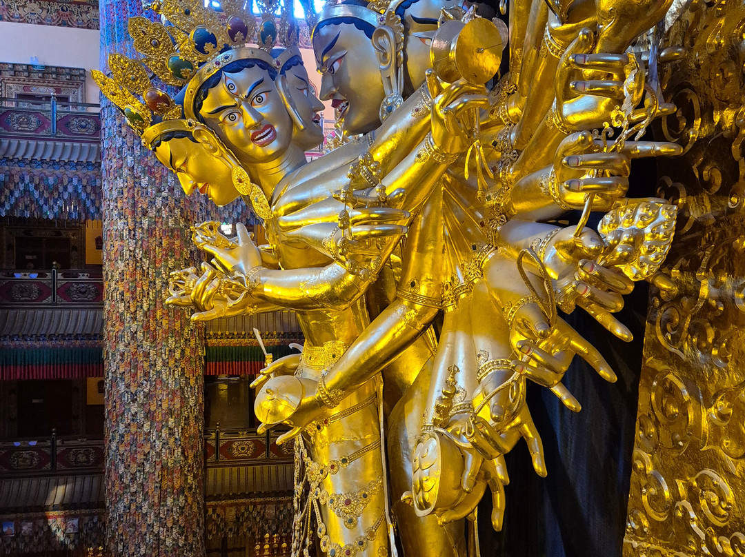迪庆藏族自治州文化博览中心景点图片