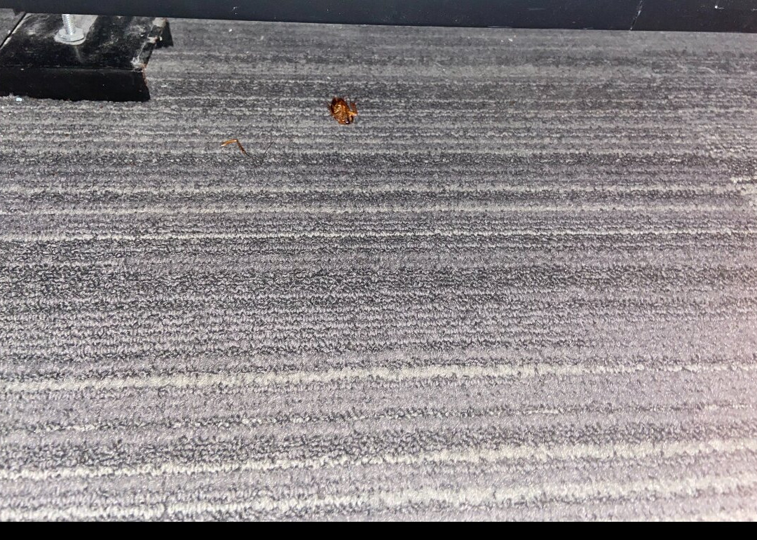 Home2 Suites By Hilton Lakeland South Polk Parkway主图