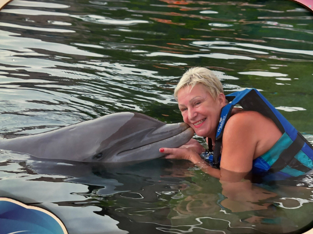 Delphinus Xcaret景点图片