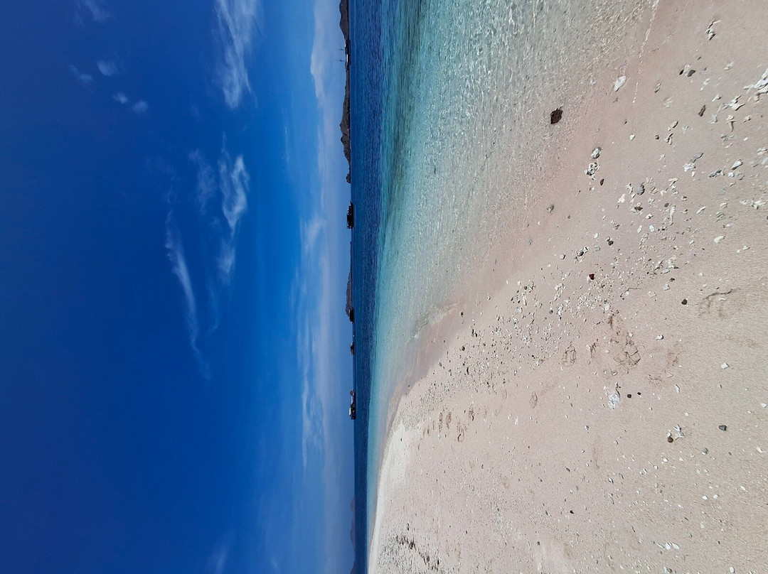 Situju Tuju Cruises景点图片