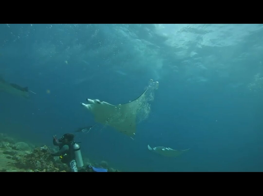 Reef Rangers Ukulhas景点图片