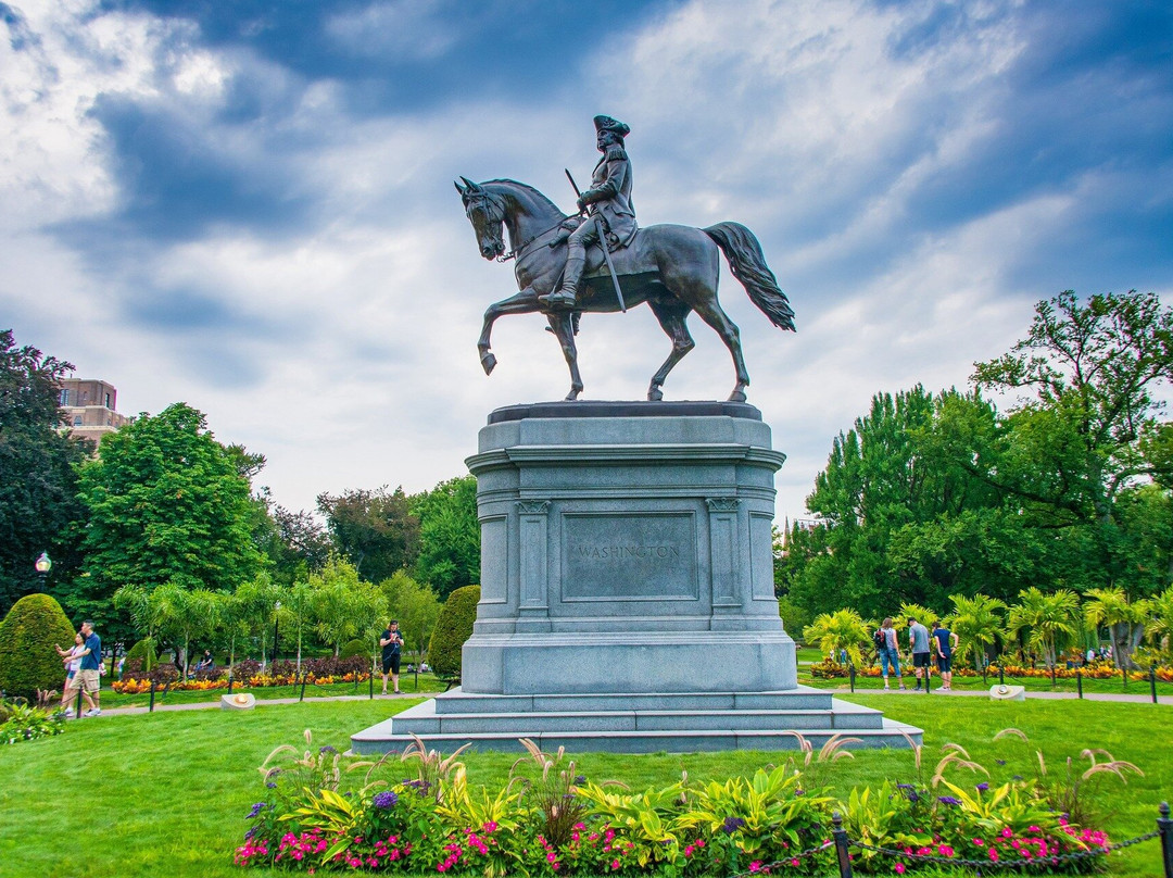 The Daily Trips - Boston