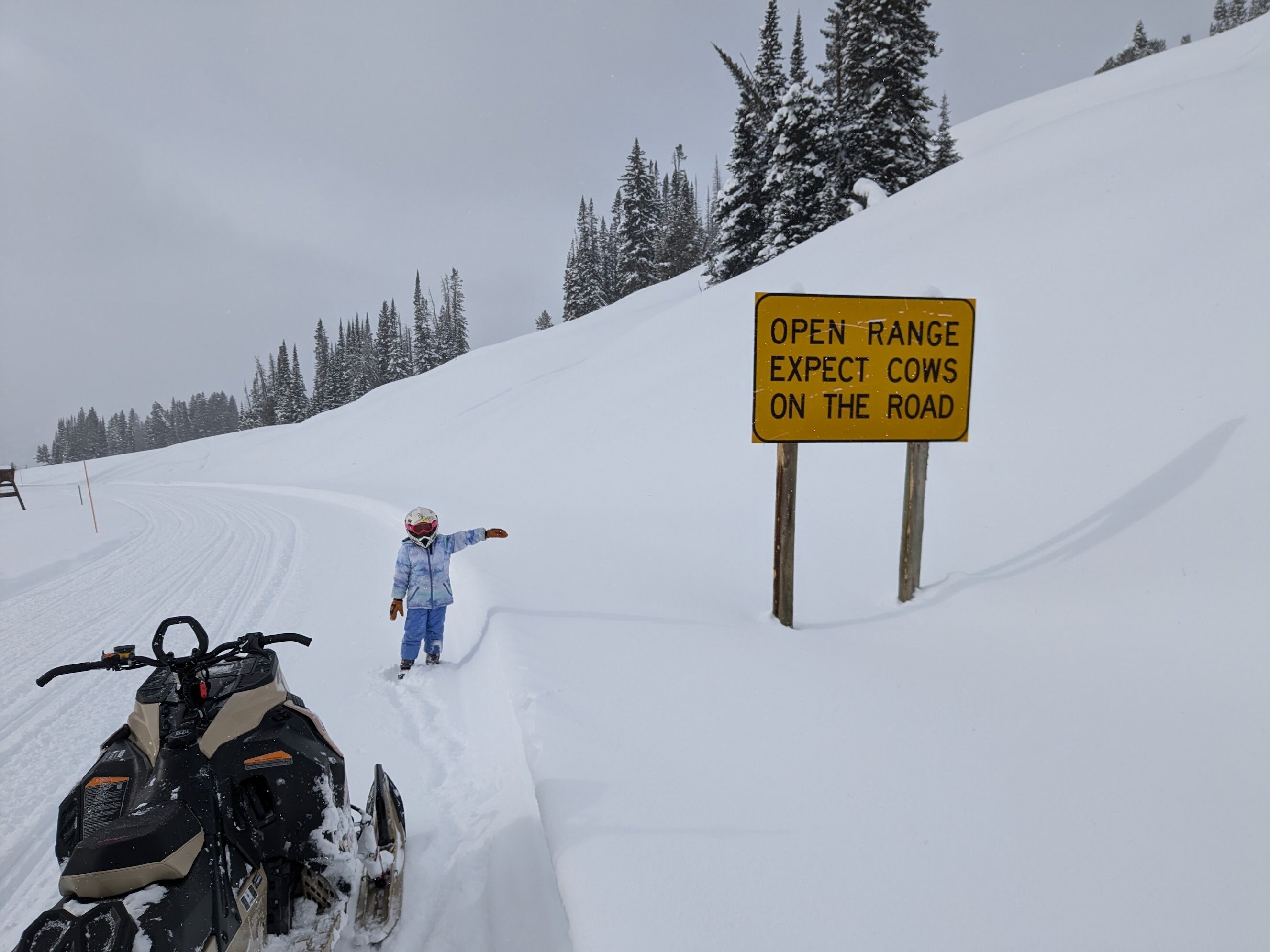 Top of the World Resort along Beartooth Highway-官方