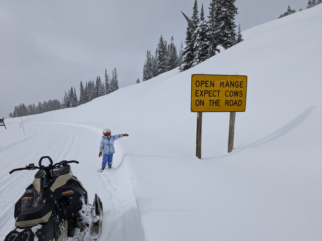 Top of the World Resort along Beartooth Highway主图