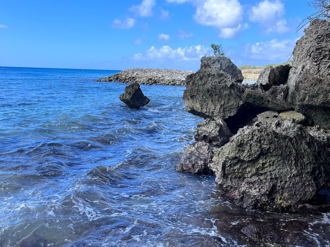 Washington Slagbaai National Park-Rincon必去景点