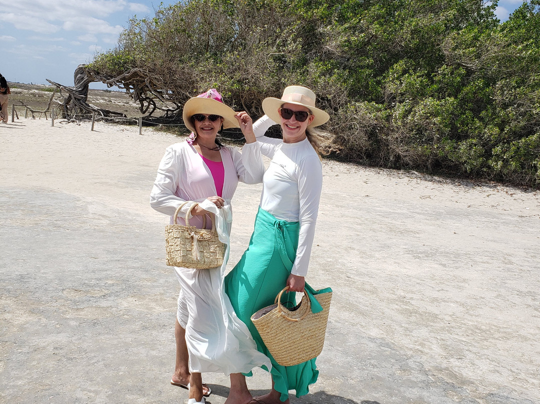 Árvore da Preguiça-杰里科科拉必去景点