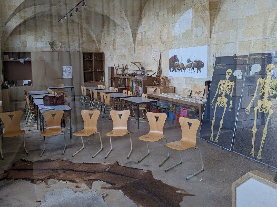 Musée de la Préhistoire景点图片