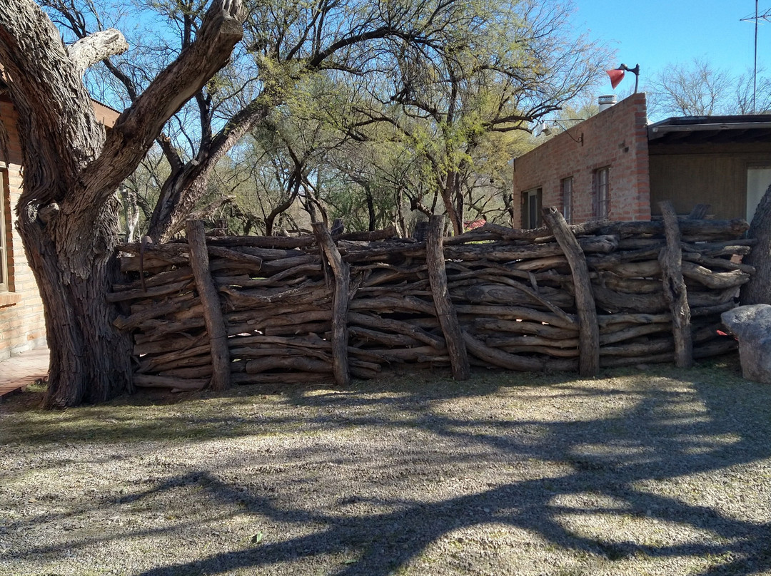 Houston's Horseback Riding-图森必去景点
