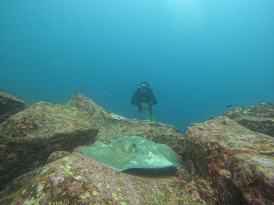 AQUAVENTURES DIVE CENTER-Puerto Baquerizo Moreno必去景点