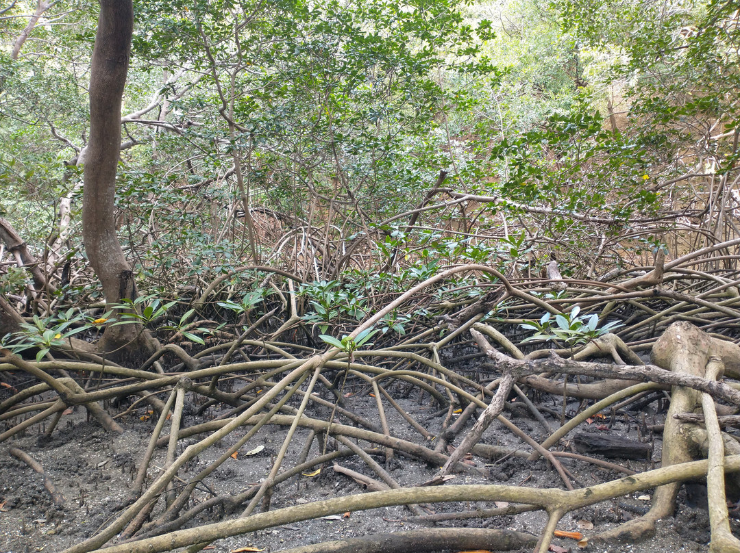 Nandel Beach Resort主图