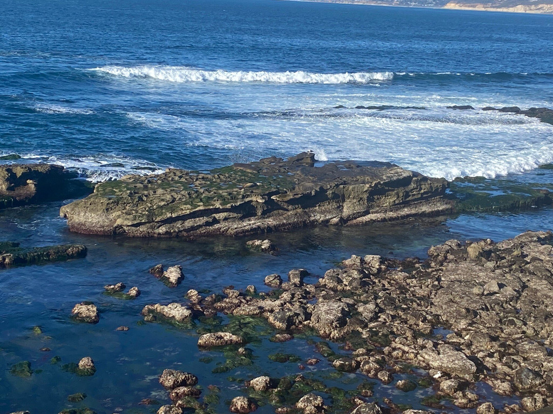 Coast Boulevard Park-拉荷亚必去景点