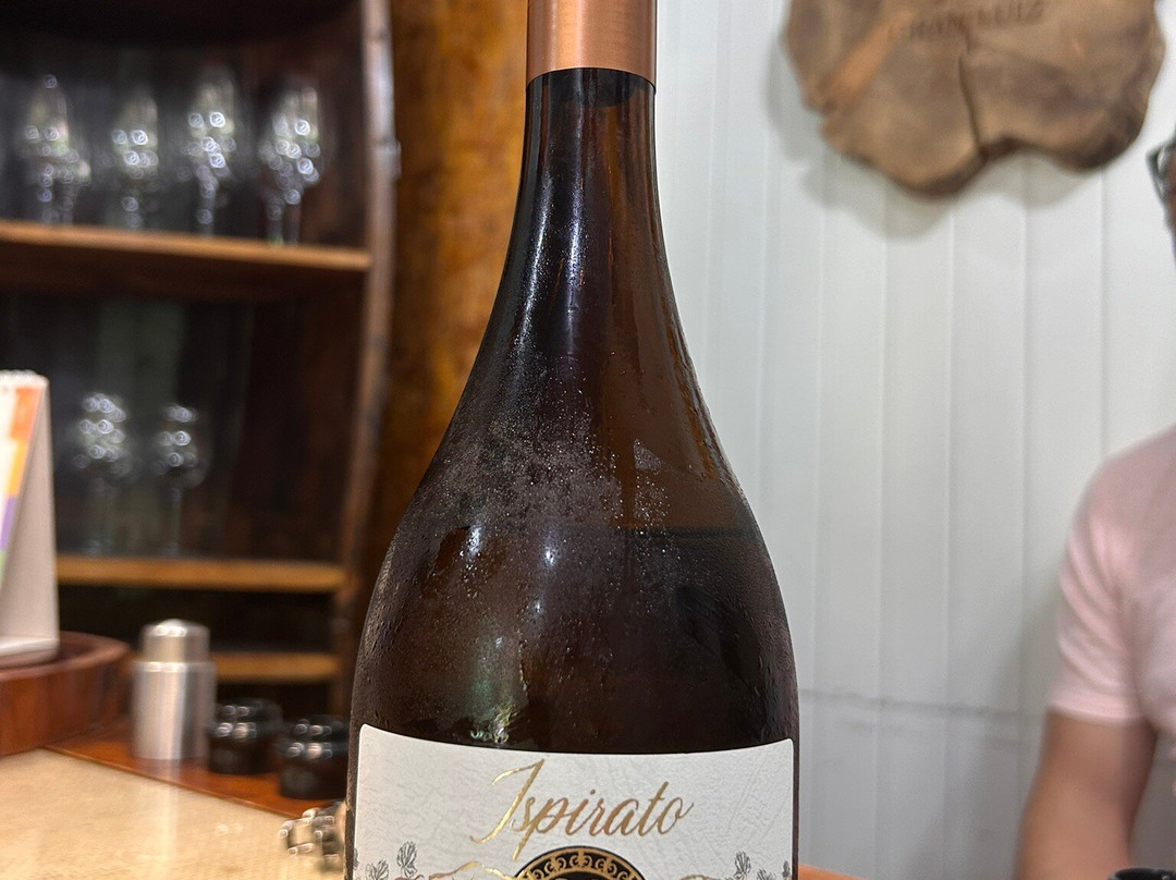 Vinicola Dom Bernardo-本图贡萨尔维斯必去景点