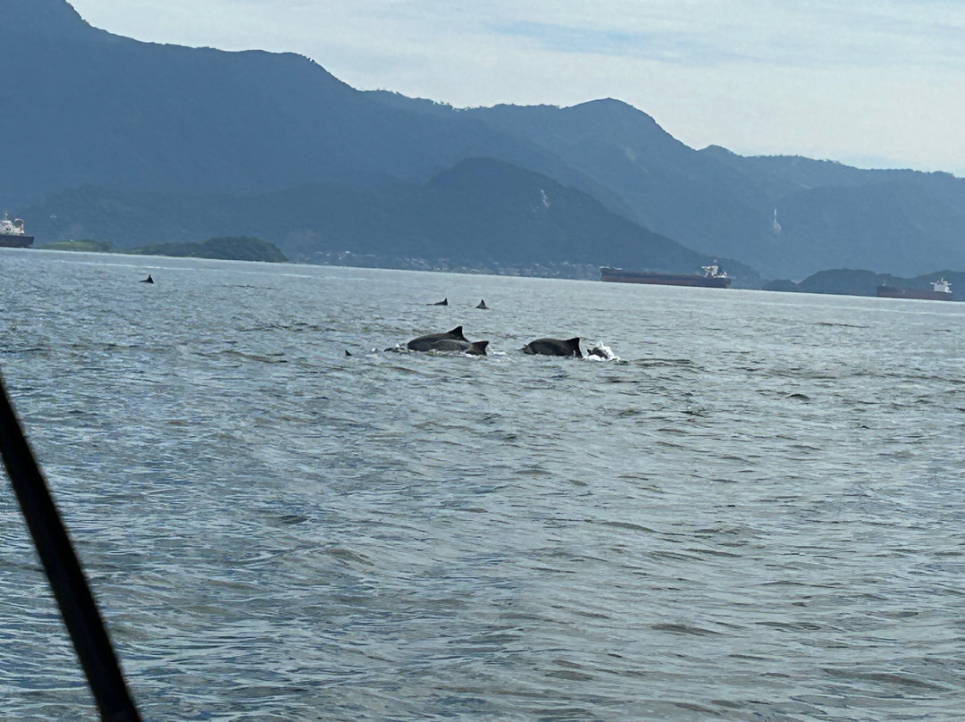 Instituto Boto Cinza-曼加拉蒂巴必去景点