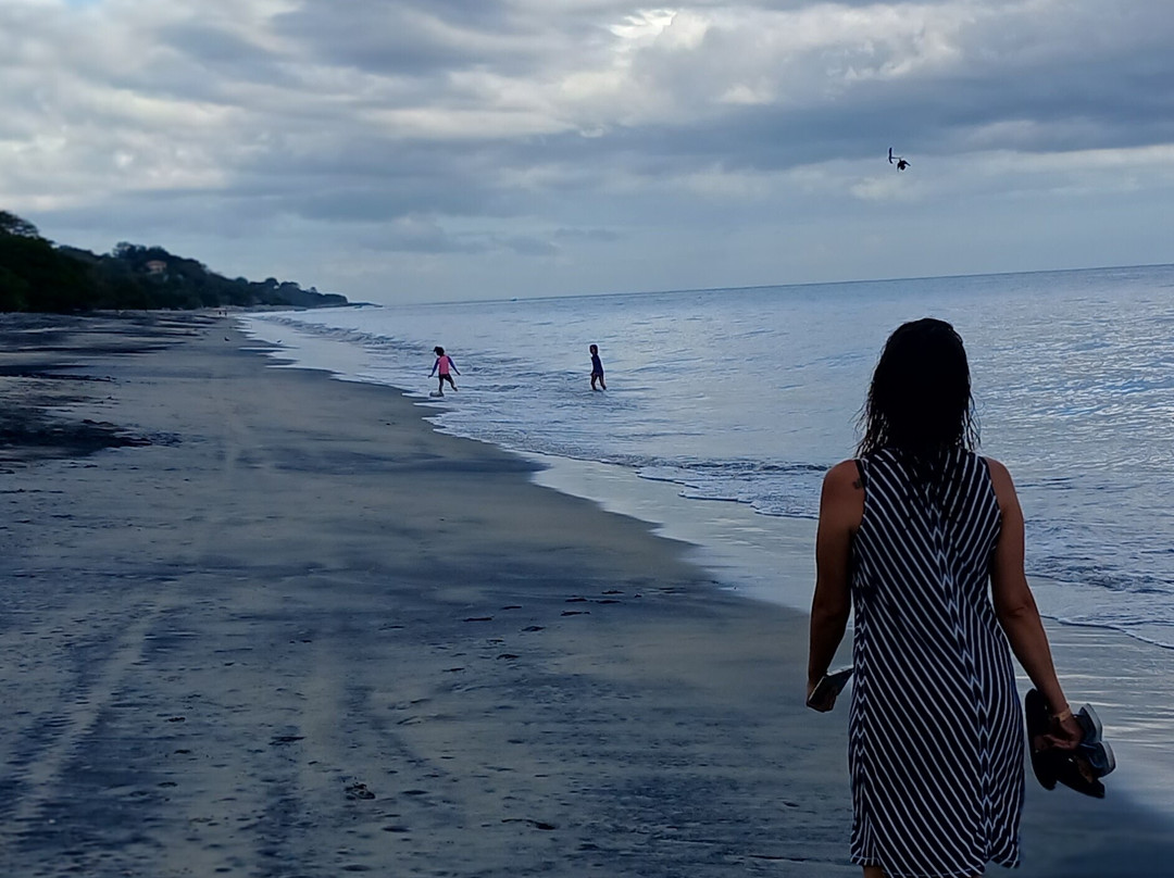 Lis Transport-巴拿马城必去景点