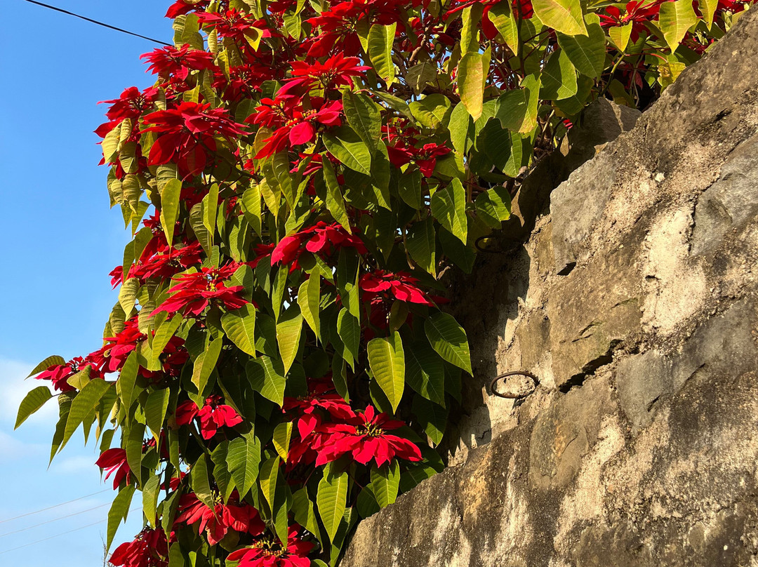 Battle of Imphal Tours-因帕尔必去景点