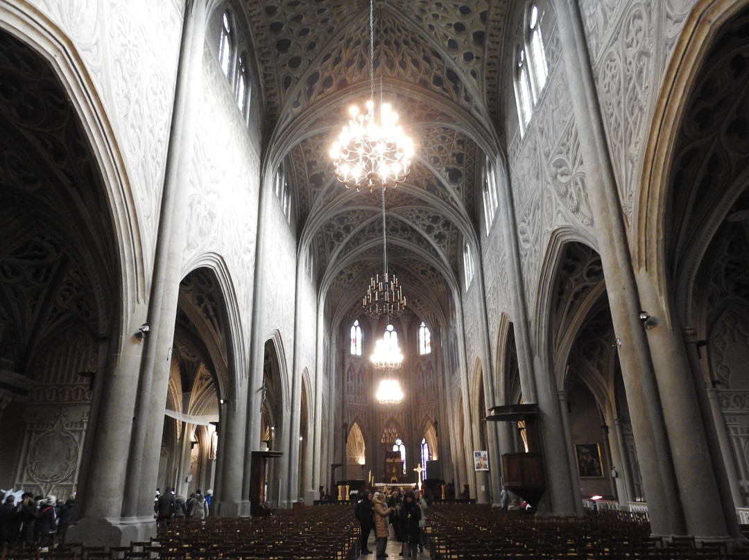 Cathédrale Saint-Francois-De-Sales景点图片