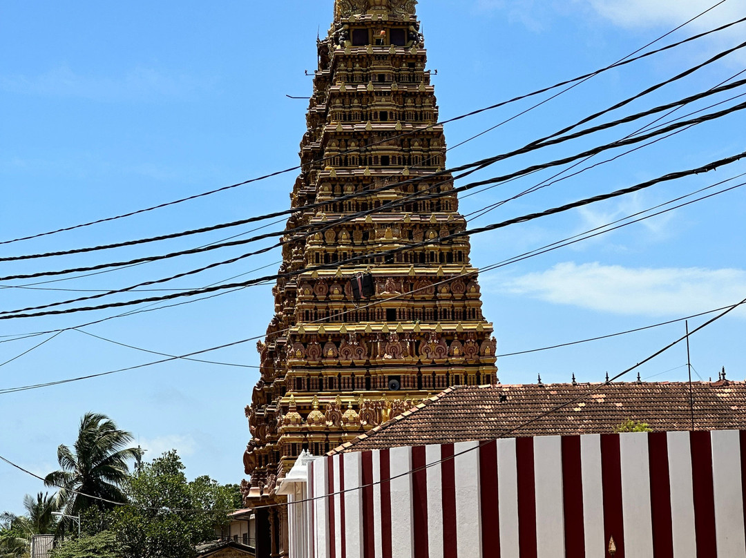 PL Tours and Travels-尼甘布必去景点
